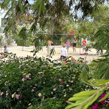 Orbitur Ilha De Armona 펜션