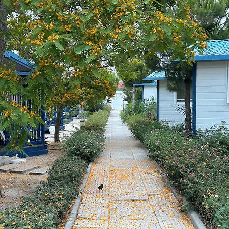 펜션 Orbitur Ilha De Armona